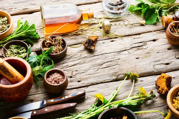 Ayurveda 101 free course lead image