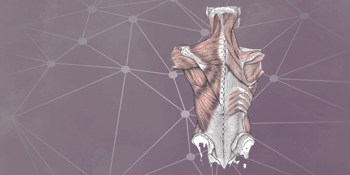 The Therapeutic Wisdom of Yoga: Myofascial Lines Teacher Training