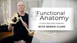 Functional Anatomy Teacher Training Course