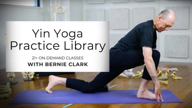 The Yin Yoga Practice Library lead Image