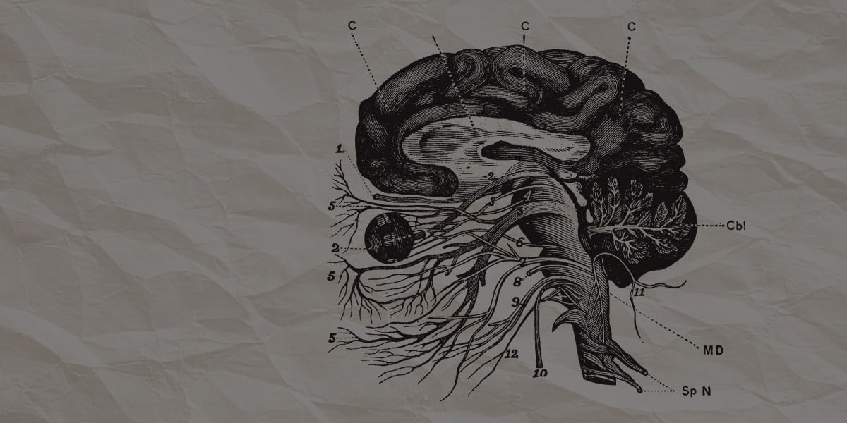 Applied Polyvagal Theory for Yoga Professionals