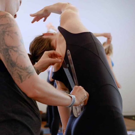 bernie-anatomy-background-1200