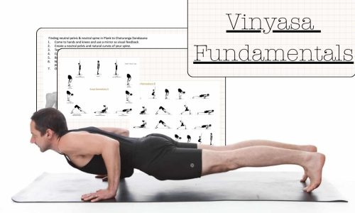 vinyasa fundamentals mini course lead vinyasa fundamentals mini course lead